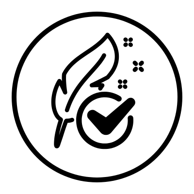 Bullet Image
